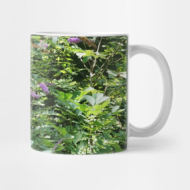 Purple Buddleia by Pirino